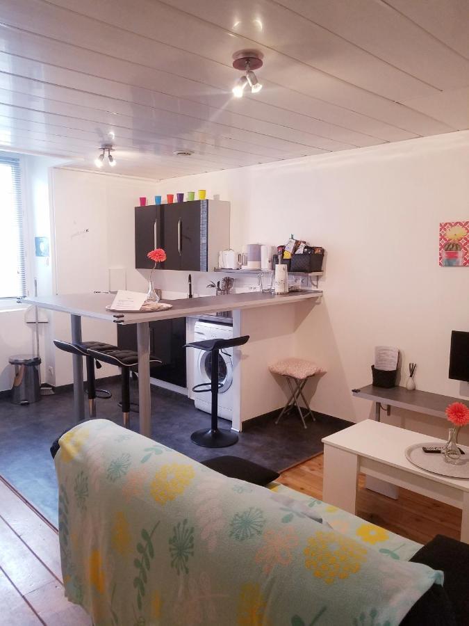 Apartmán Copropriete Les Iris Saint-Etienne  Exteriér fotografie